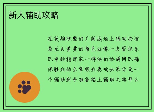 新人辅助攻略