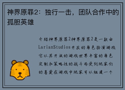 神界原罪2：独行一击，团队合作中的孤胆英雄